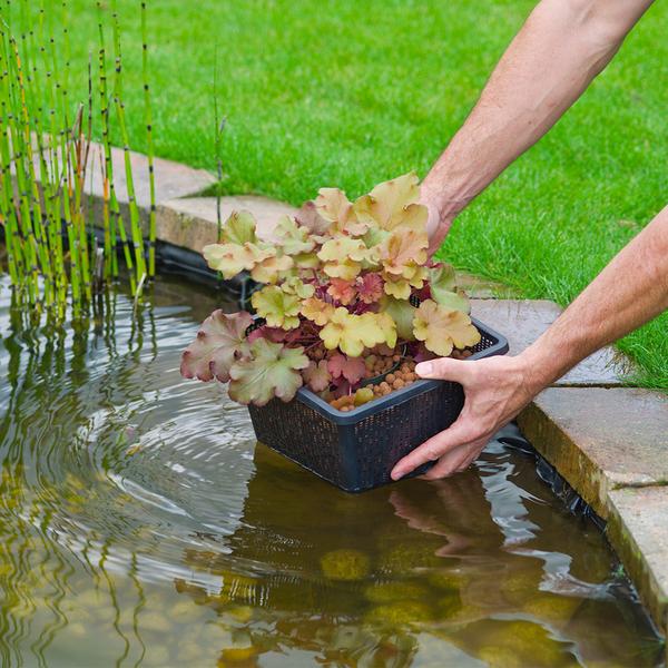 Ubbink Wasserpflanzenkorb, schwarz, rechteckig