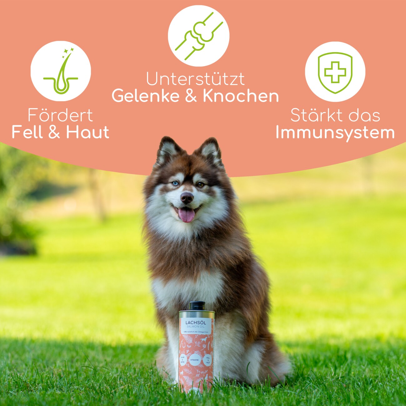 Wolfsbacher Natur Futteröl Set 3 x 1 Liter