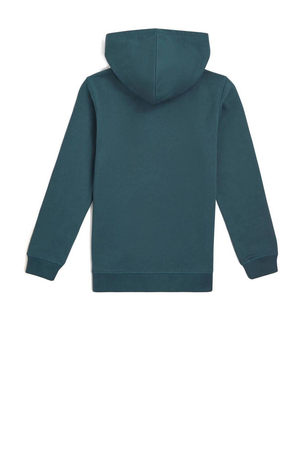 O'Neill hoodie met printopdruk zeegroen