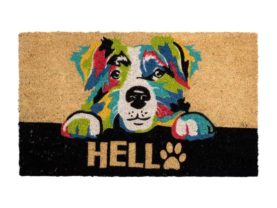 Tapis d'entrée en PVC imprimé blanc 45x75