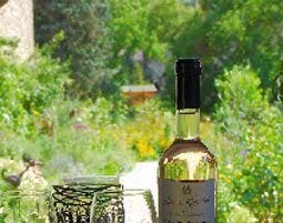 Wildkräuterwanderung durch die Weinberge als Geschenk | MYDAYS