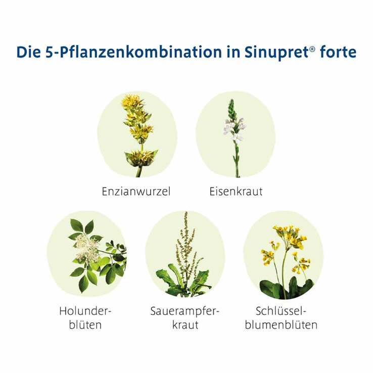 Sinupret forte überzogene Tabletten, 20 St