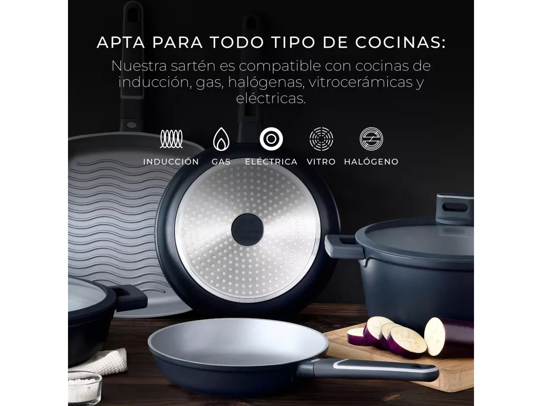 Lot de 2 poêles Ø20Ø26cm INDIGO en fonte d'aluminium antiadhésive MasterPRO