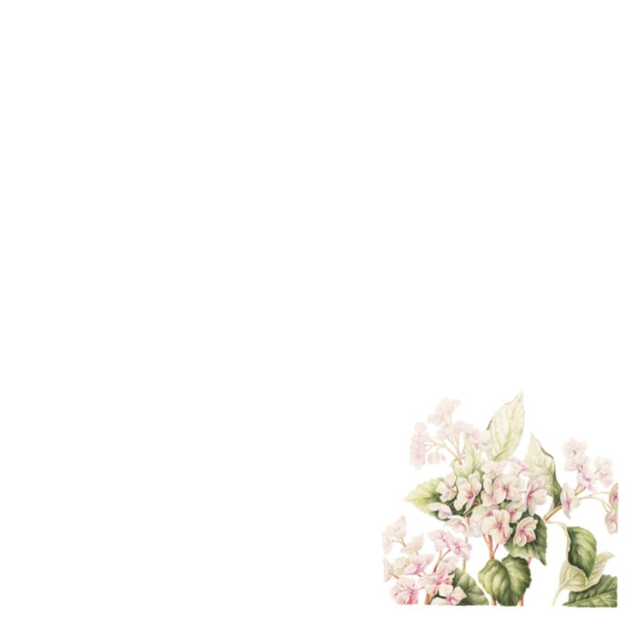 Janneke Brinkman | Beterschapskaart | Witte bloemen