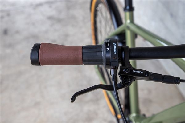 DAILY QUEST Pinion City- und Alltagsvelo  grün  48 CM