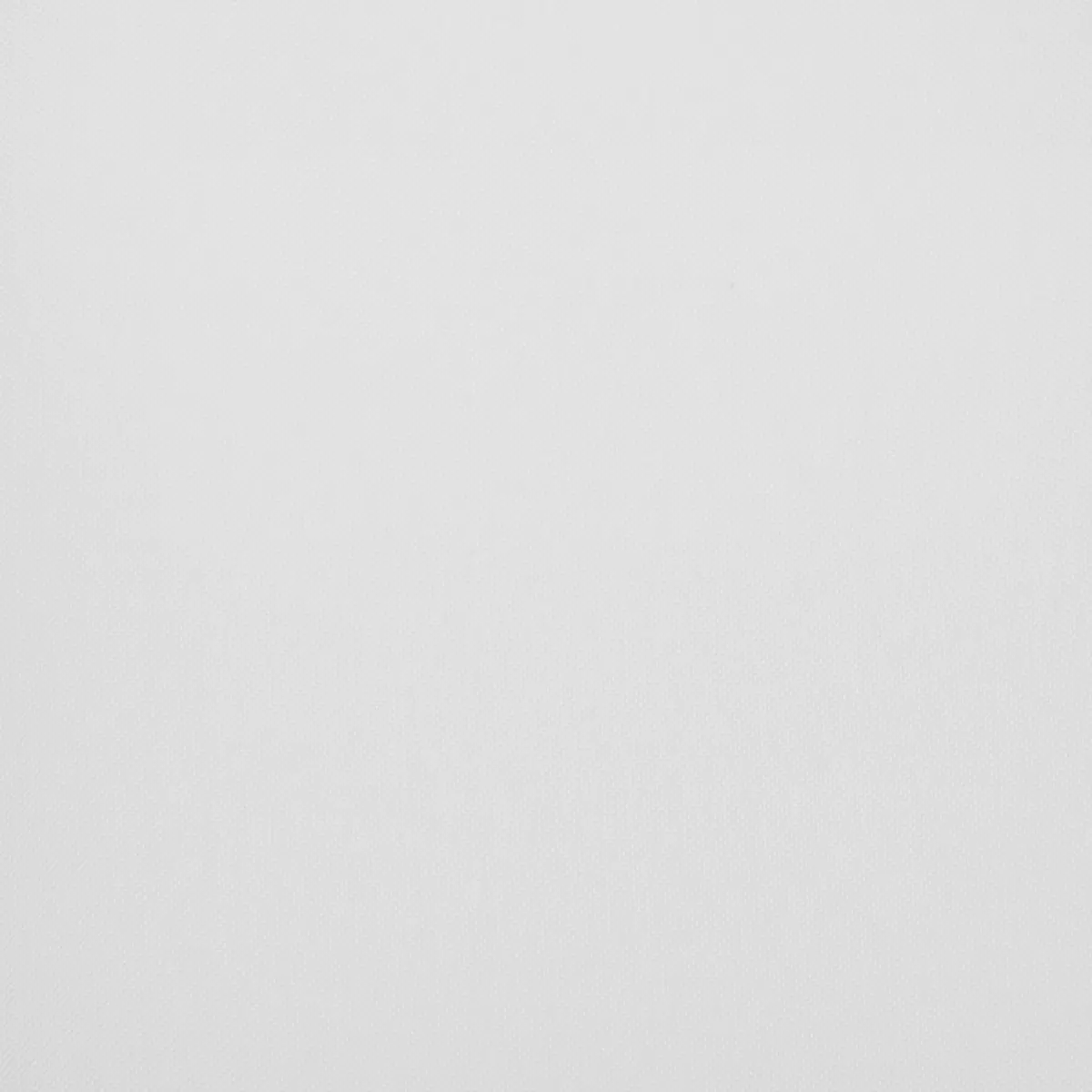 Tagvorhang Voile Beige