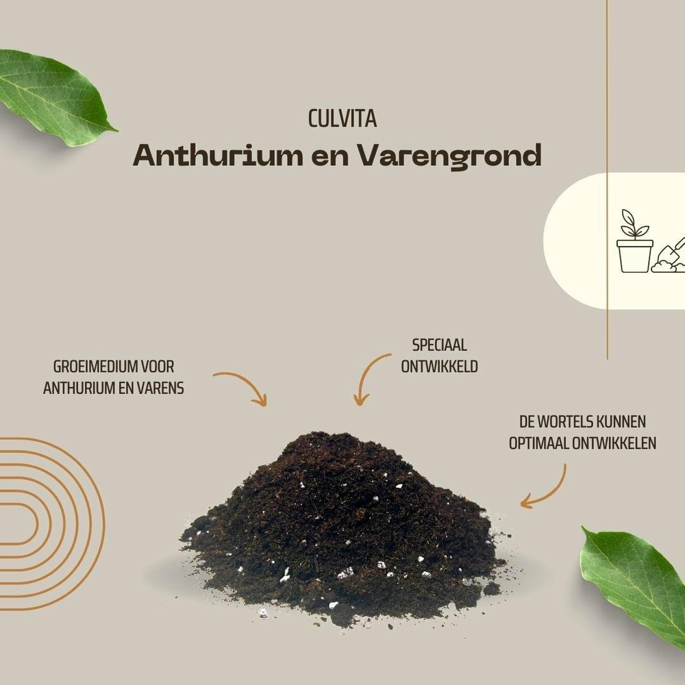 Terreau pour anthuriums et fougères - 5l