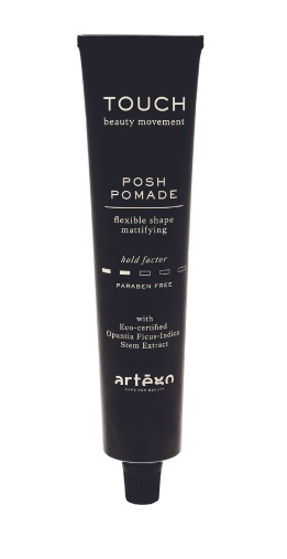 Touch Posh Pomade