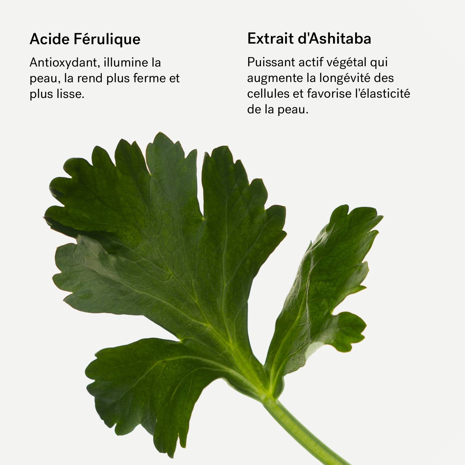 A36 - Sérum antioxydant<br>Acide férulique 3% + Ashitaba