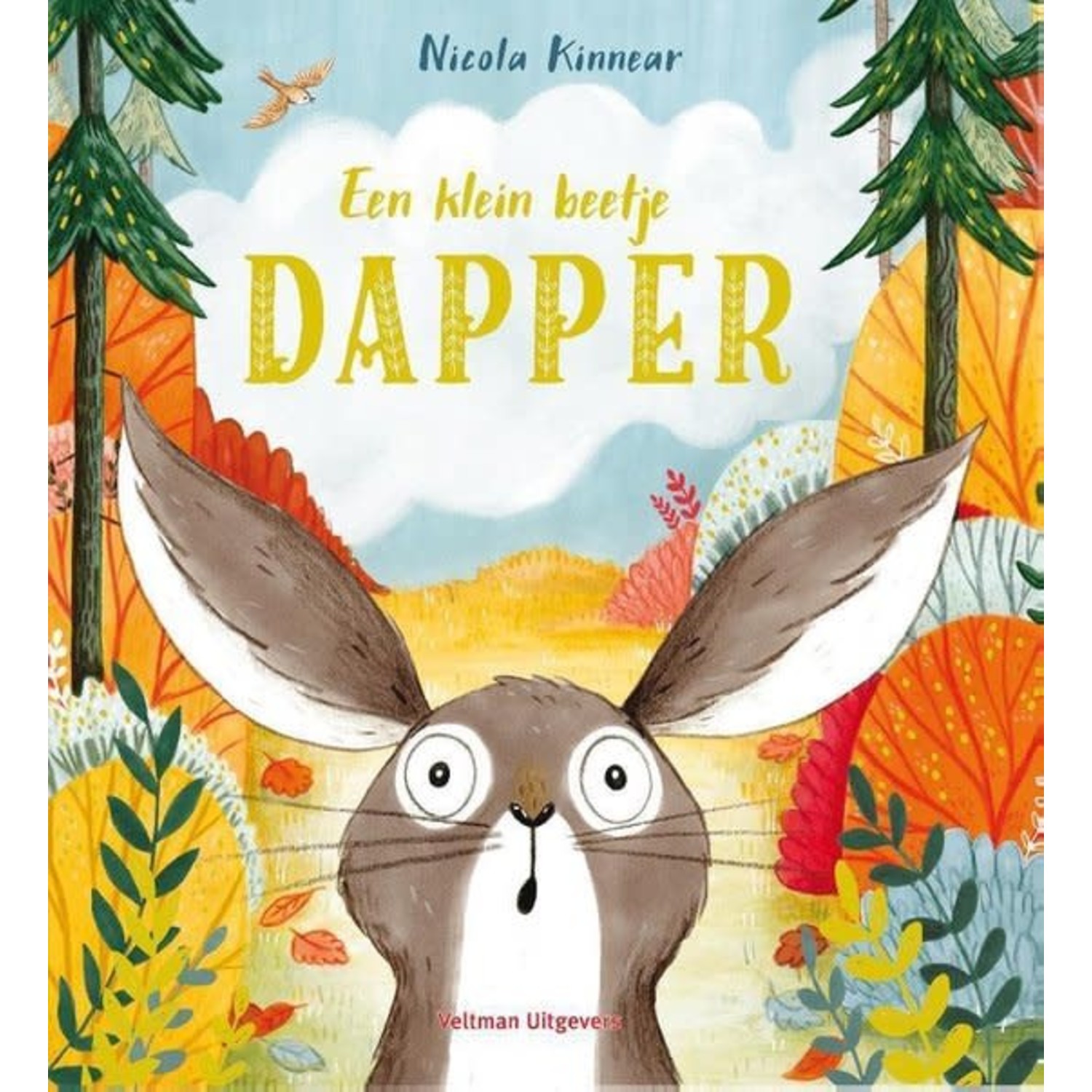 Boek: Een klein beetje dapper