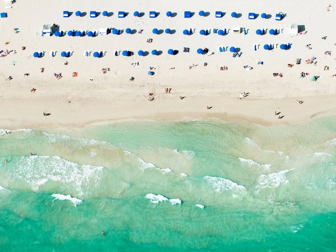 Blue Umbrellas Miami by Tommy Clarke - Darlings - Small Limited Edition. 30x40.