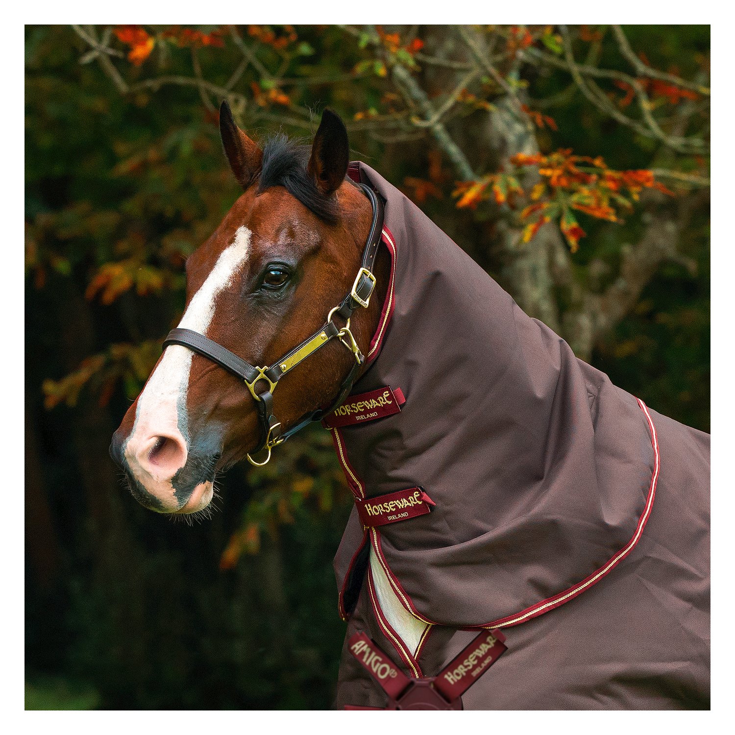 Horseware Halsteil AMIGO Bravo 12 Lite - brown/red
