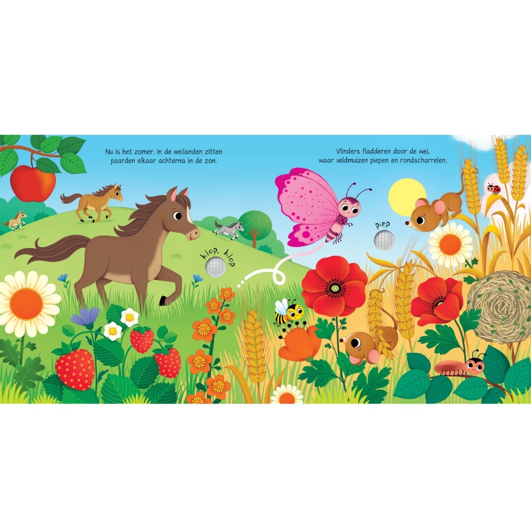 Uitg. usborne geluiden van de seizoenen