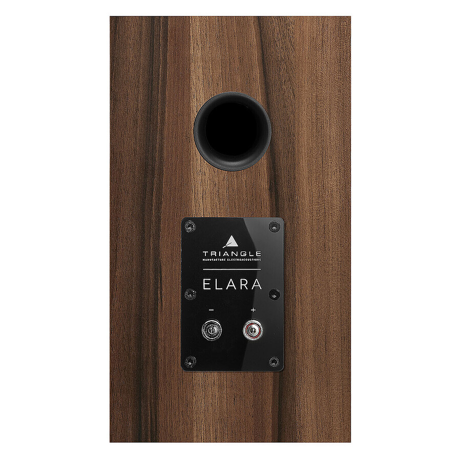 Denon RCD-N12DAB Noir + Triangle Elara LN01 Châtaigner