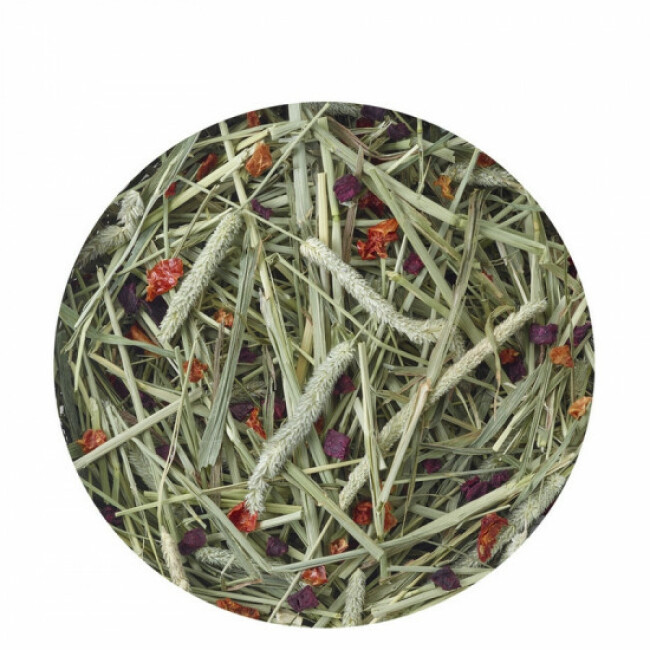 Foin Timothy Hay Nature Versele Laga 500 g enrichi