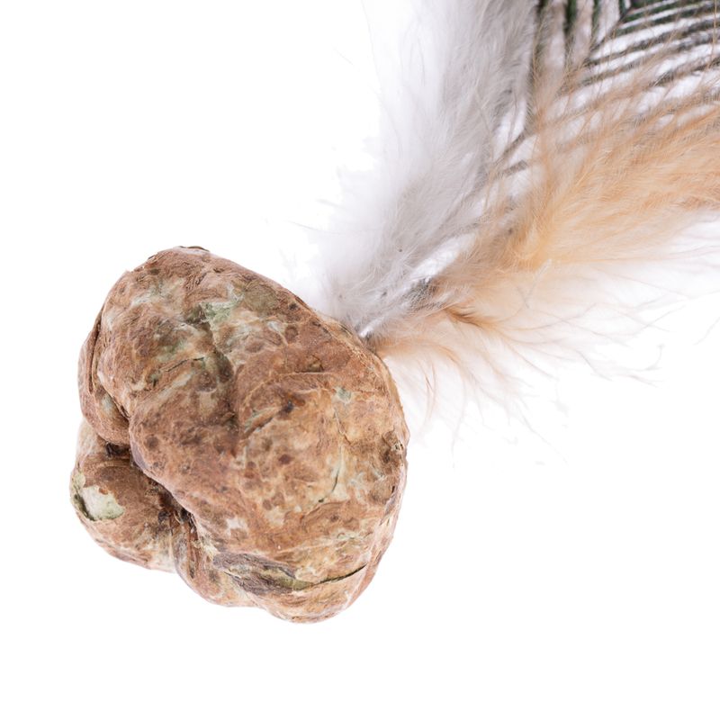 Jouet Modern Living Katmandou avec des plumes de paon pour chat