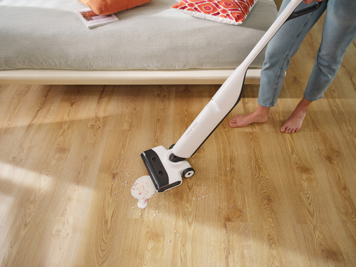 Roborock Flexi Lite