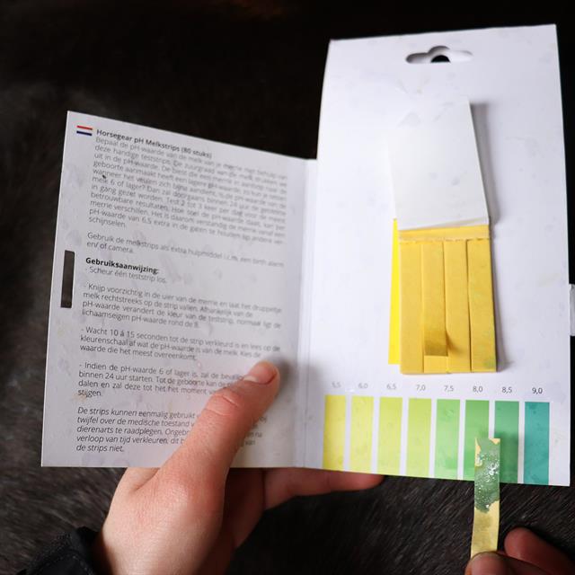 PH Melk Test Strips (80 Strips)