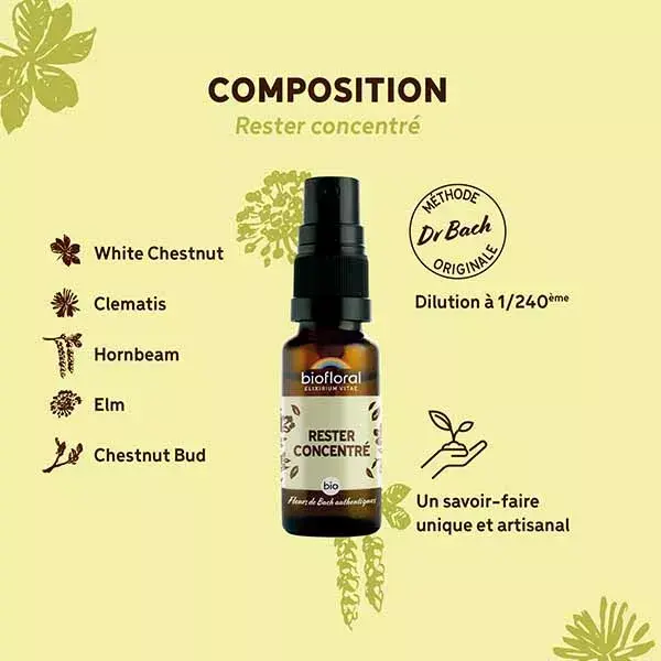 Spray Biofloral Stay Focused Orgânico Demeter Spray Emotions 20 ml