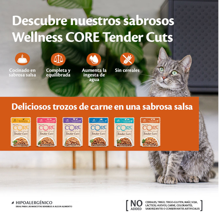 Sachê de 85g de Wellness Core Tender Cuts com salmão e atum em molho para gatos