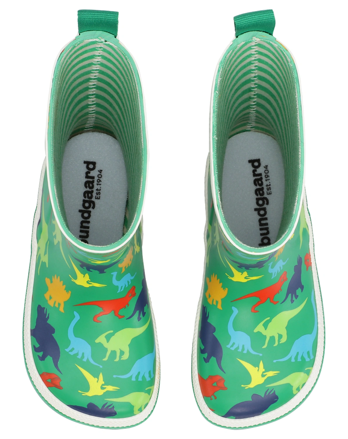 Gummistiefel CHARLY HIGH DINO in grün
