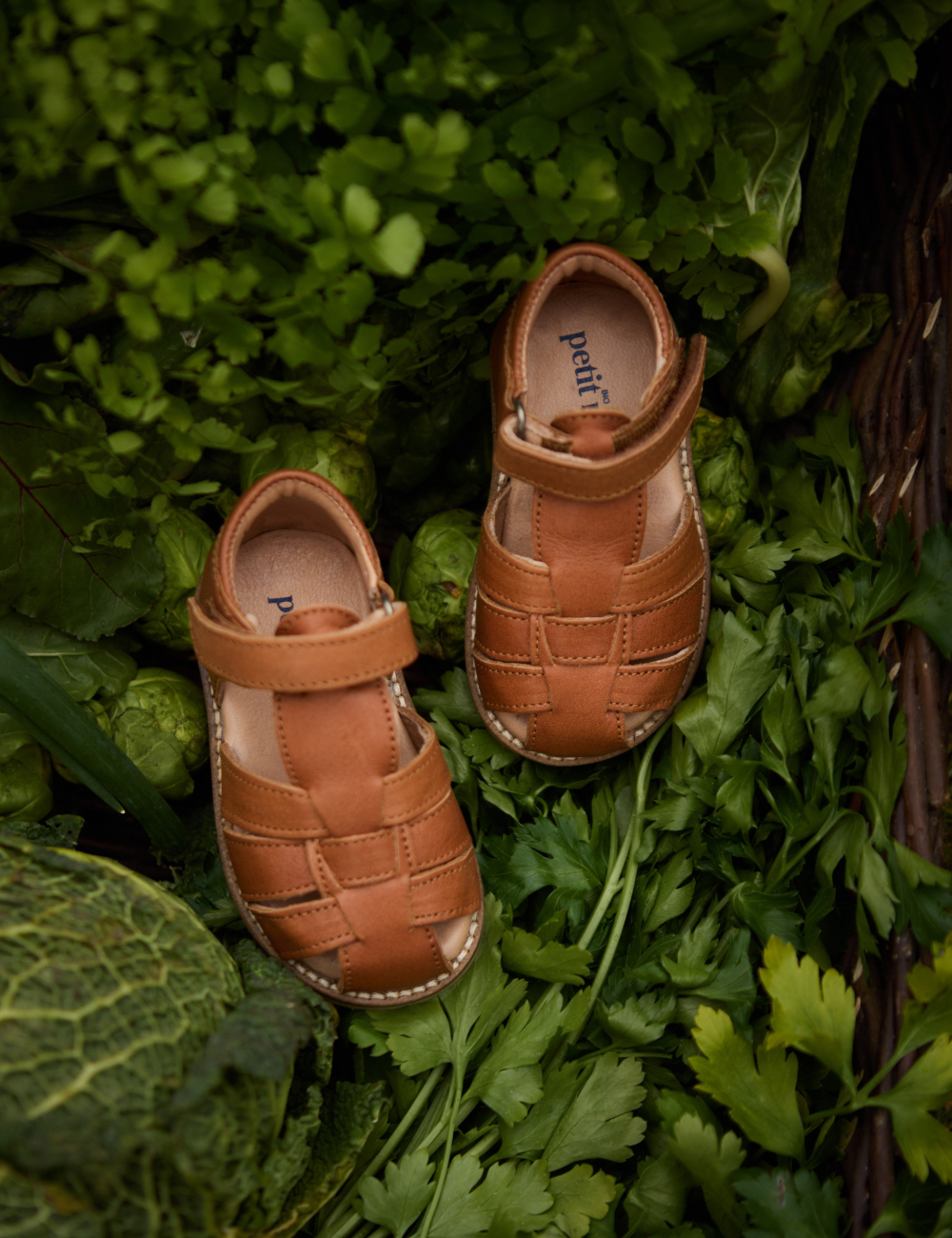 Classic Sandal - Cognac
