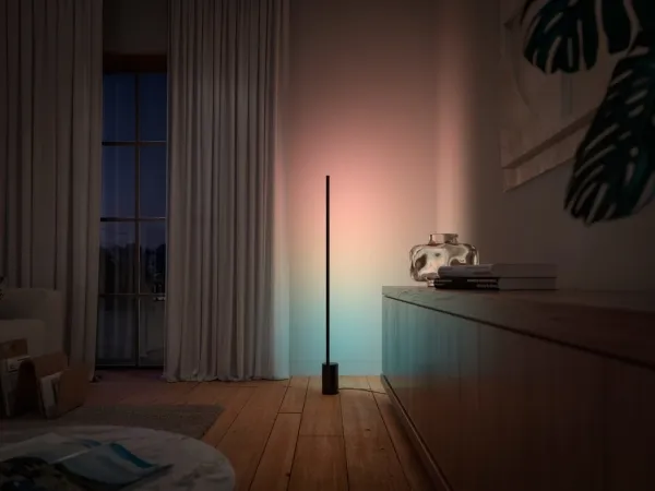 Philips Hue White and Color Ambiance Gradient Signe - Gulvlampe - LED - 29 W - 16 millioner farver/varmt til køligt hvidt lys - 2000-6500 K - sort
