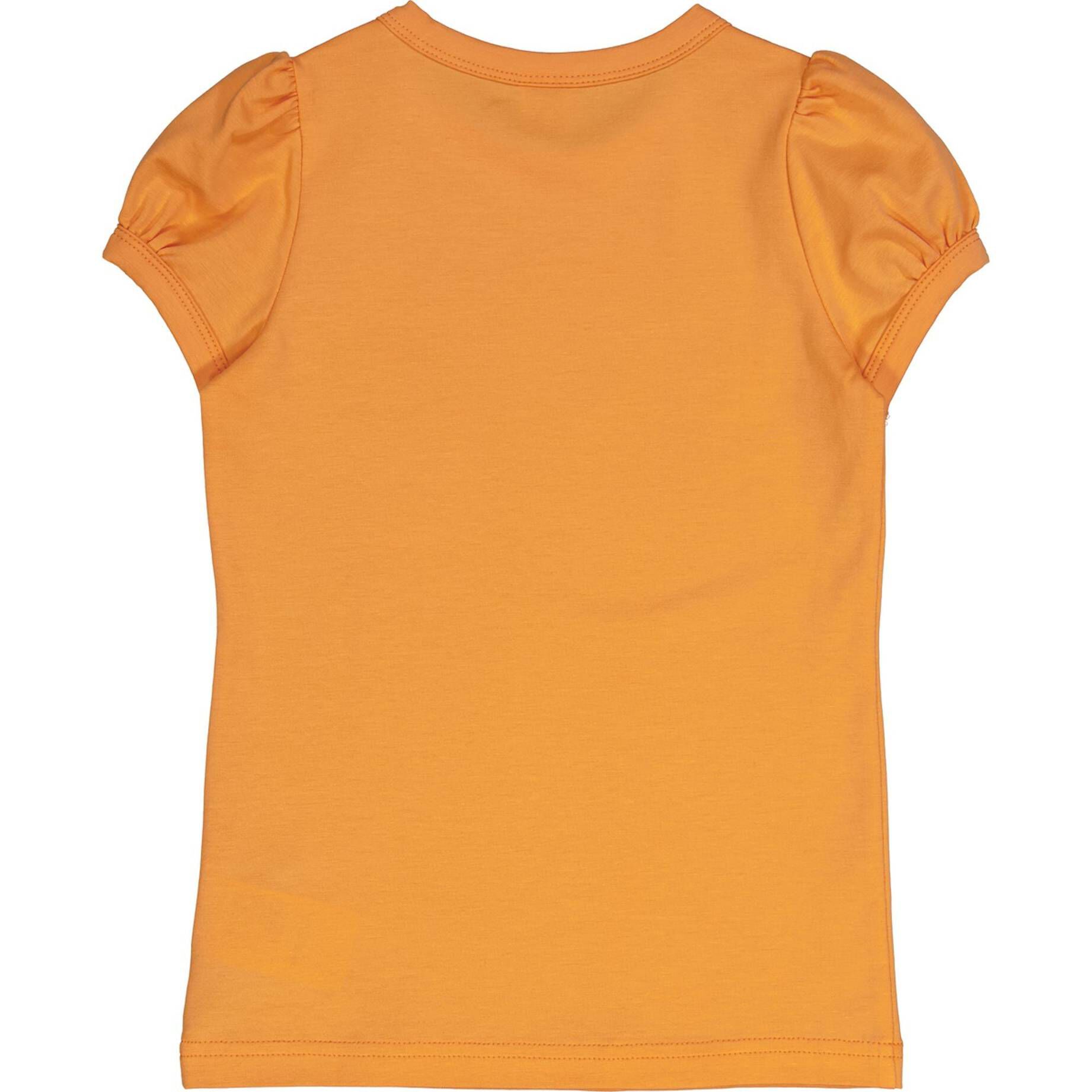 Fred's World by Green Cotton| Kinder T-Shirt - Rock Set