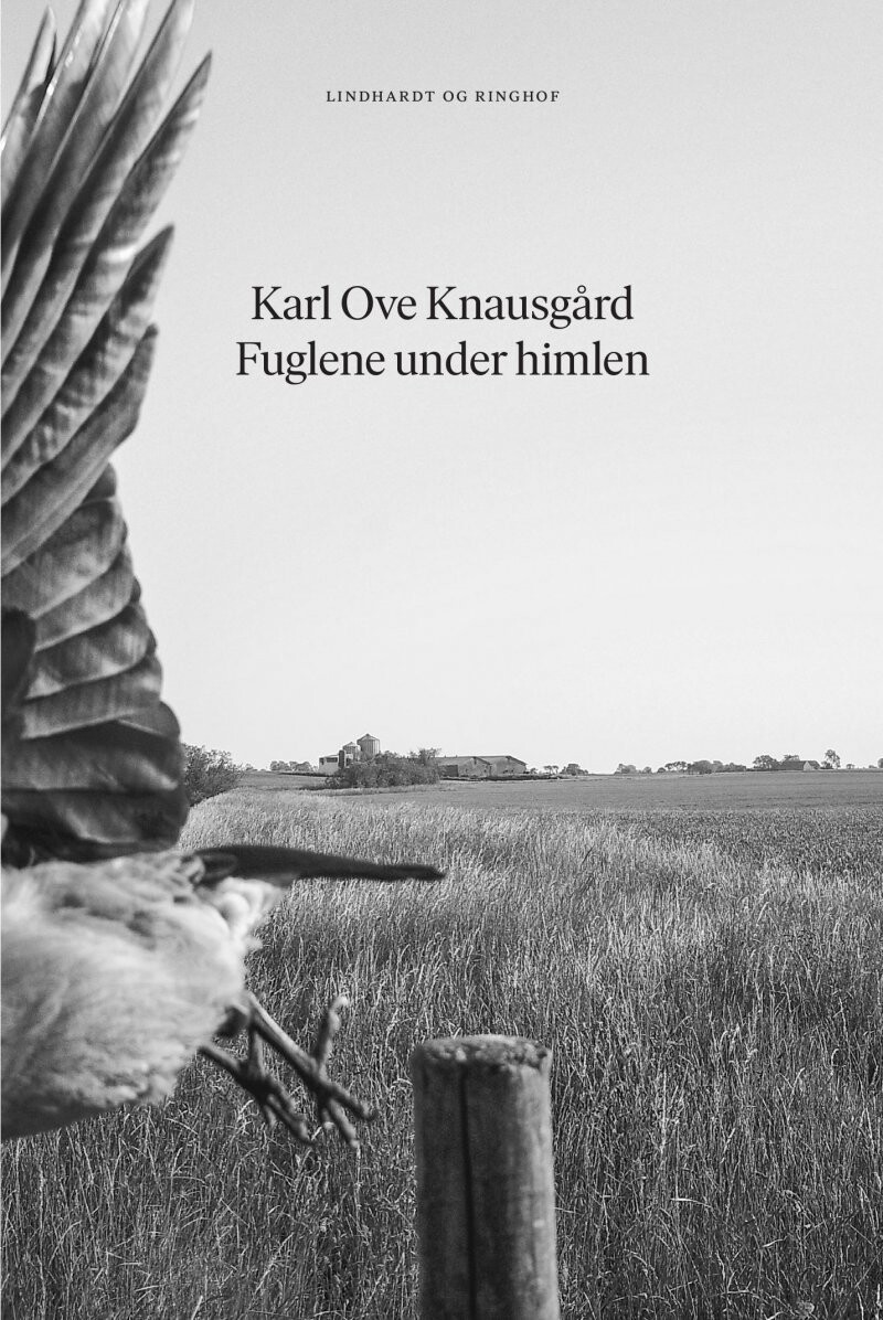 Fuglene Under Himlen - Karl Ove Knausgård - Bog