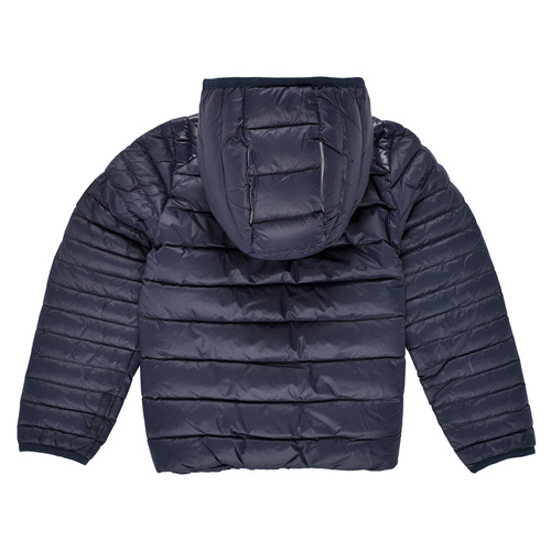 Aigle - ANITA - Marine