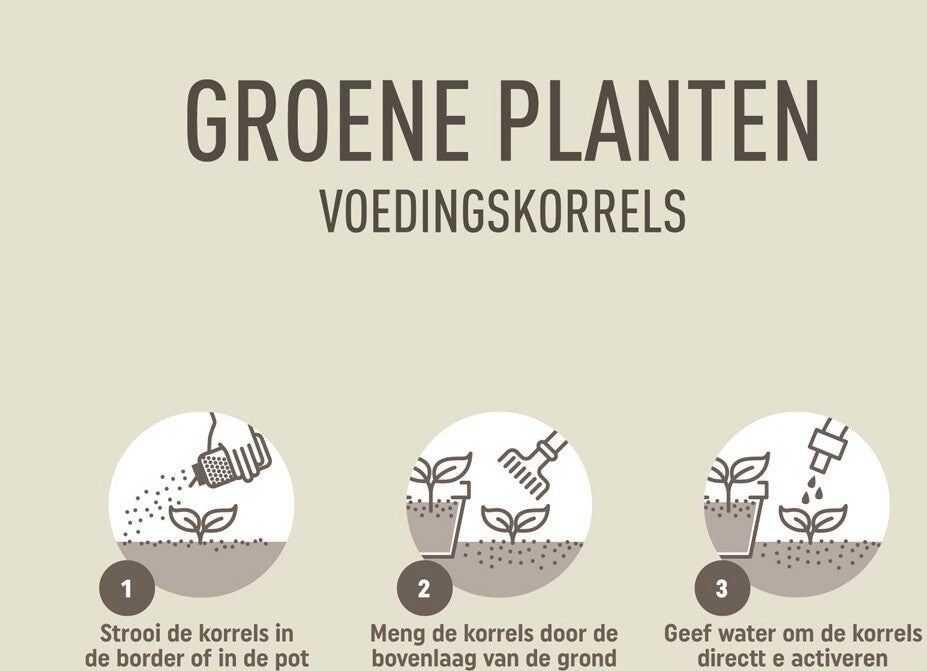 Pokon strooibus groene plantenvoeding 800 gr