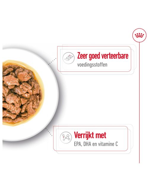 Royal Canin X-Small Adult Wet - Hondenvoer - 85 g