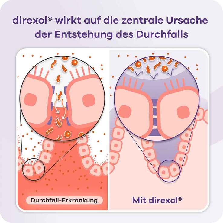 Direxol bei Durchfall Apriwell Hartkapseln, 16 St