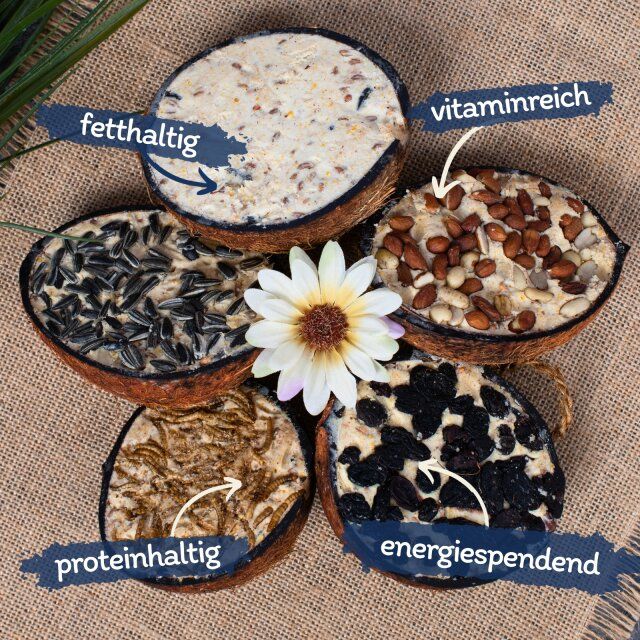 Lyra Pet® Halbe Kokosnuss gefüllt mit Topping