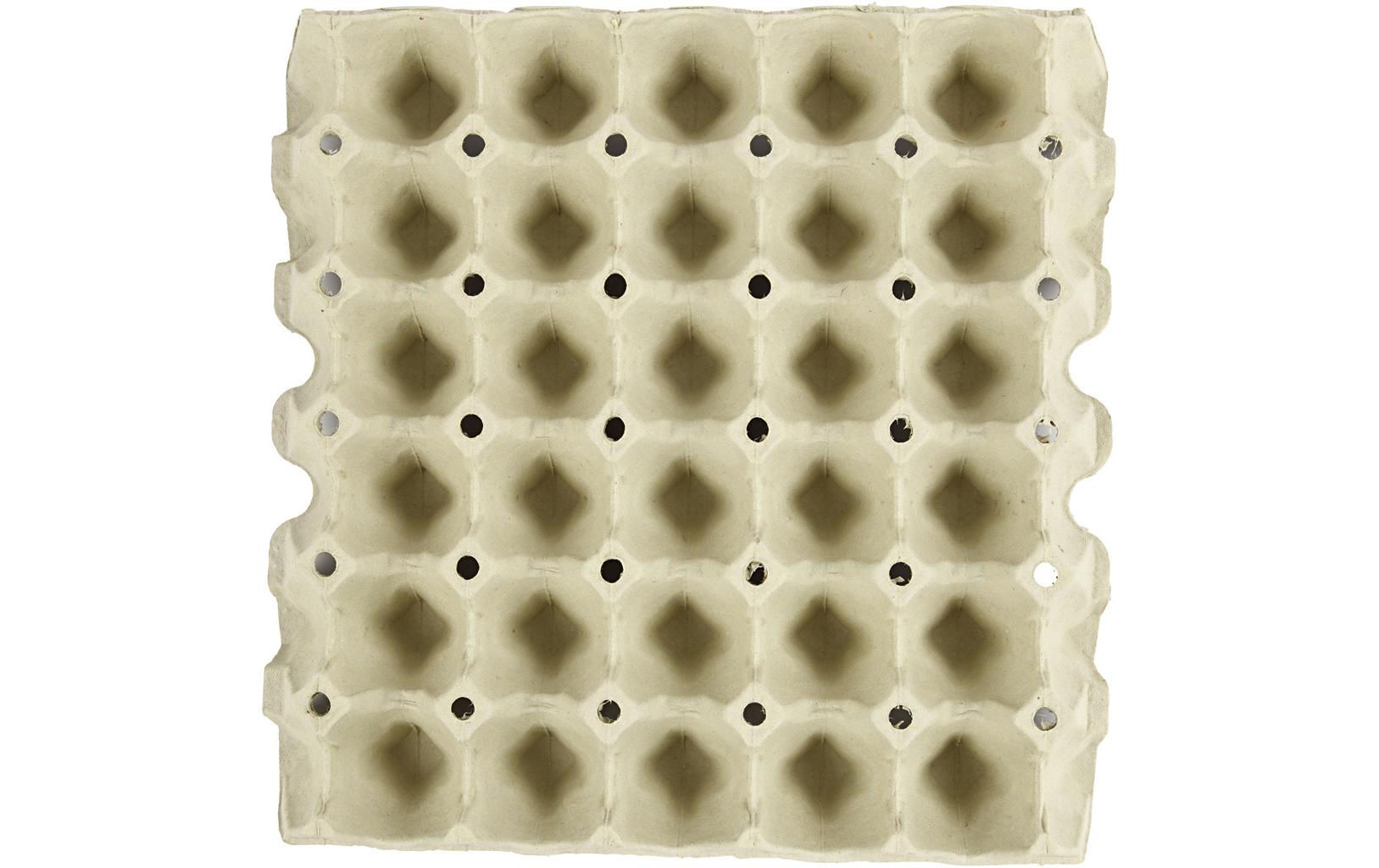 Papp-Schachtel Eier 29 x 29 x 4 cm 20 StückEierkarton