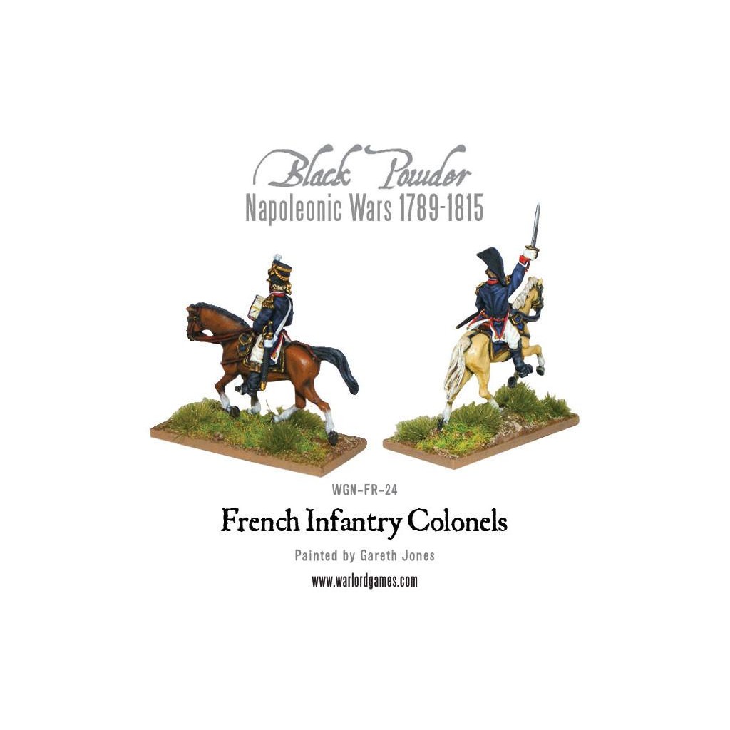 Mounted Napoleonic French Infantry Colonels