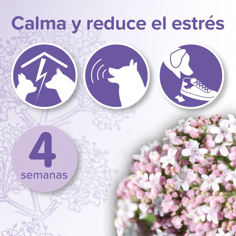 Refil para Difusor Beaphar No-Stress, Antiestresse para Cães