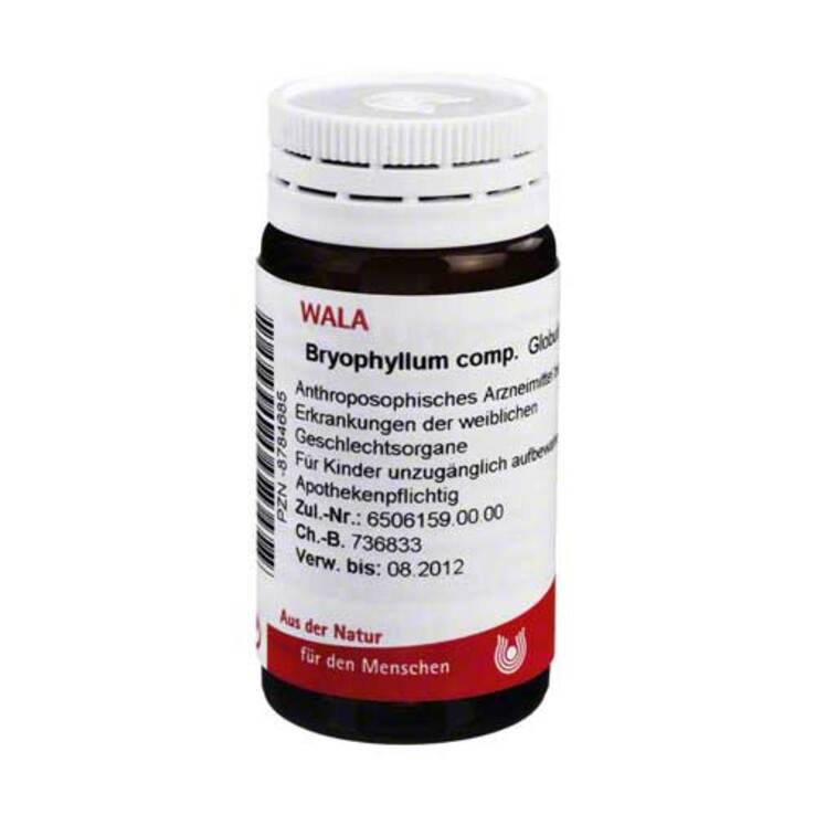 Bryophyllum comp. Globuli, 20 g