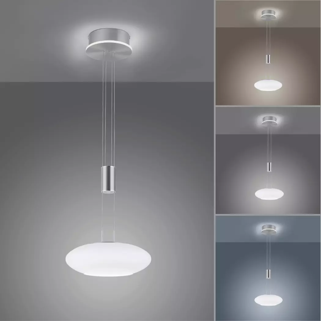 LED-Pendelleuchte Q-Etienne