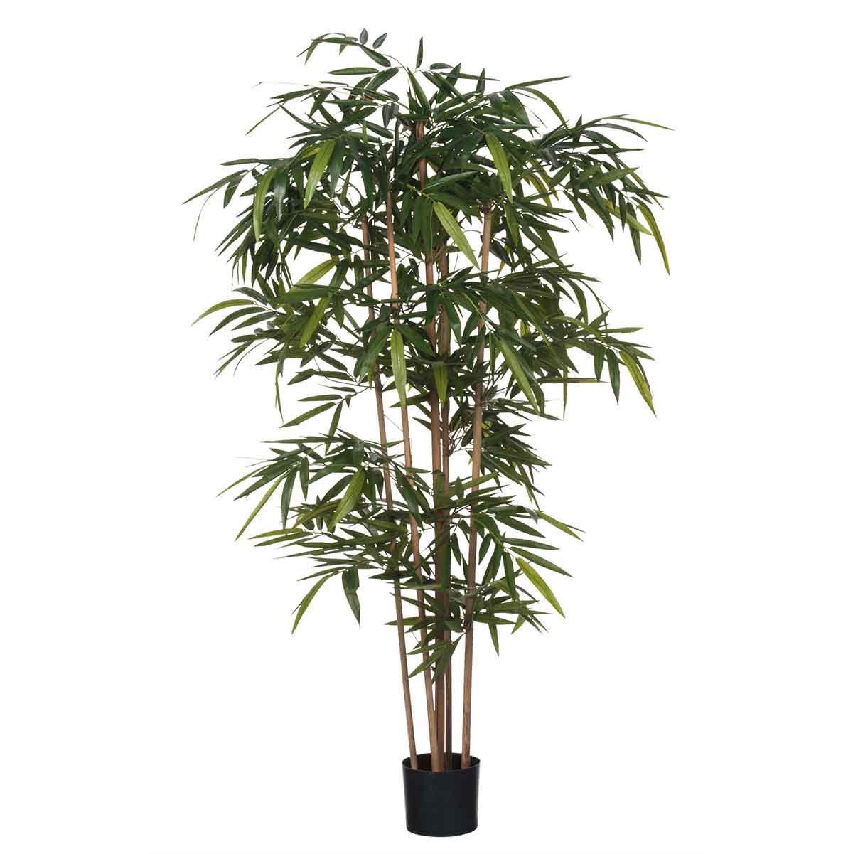 Mica decorations plantes d'art bambo - h180 x ø75 cm - pot - vert