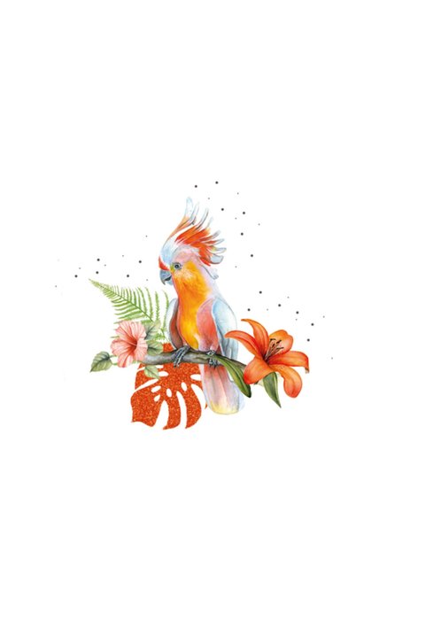 TMS | Verjaardagskaart | Illustratie