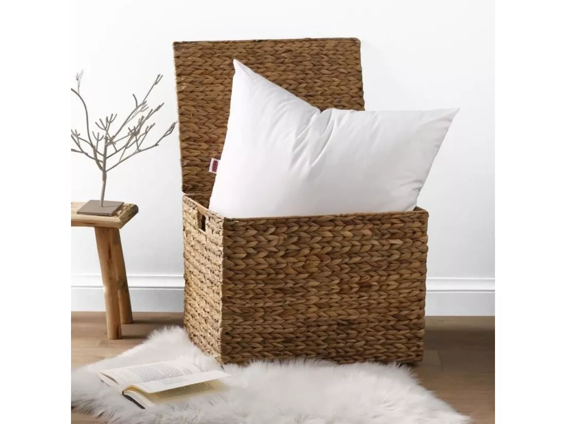 DODO Lot de 2 Oreillers Anti-Acariens Belle Nuit 60x60 cm blanc