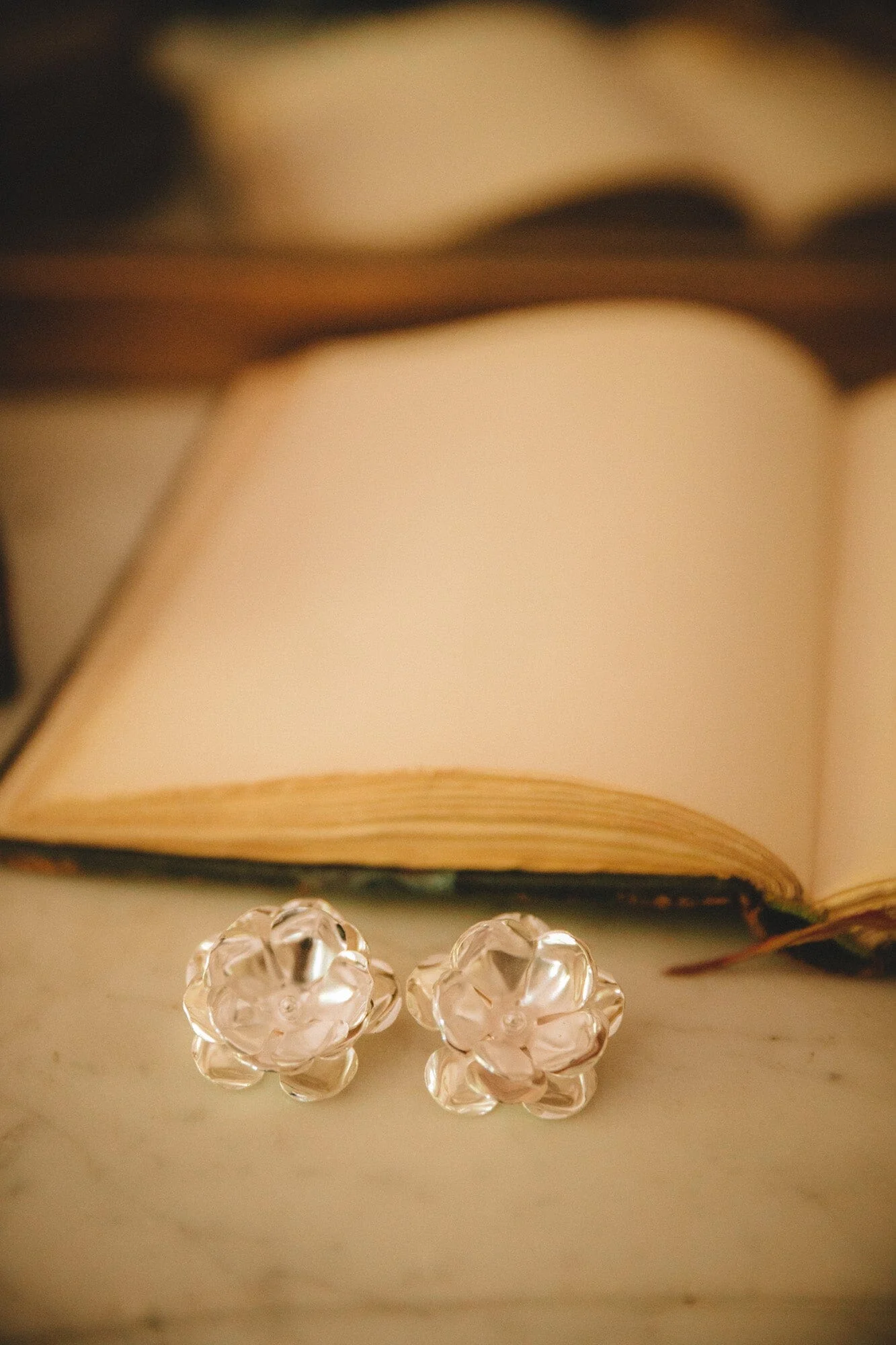 AGLAÉ - Maxi boucles d'oreilles puces fleurs plaqué argent | Argent