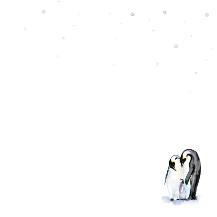 Michelle Dujardin | Geboortekaart | pinguin