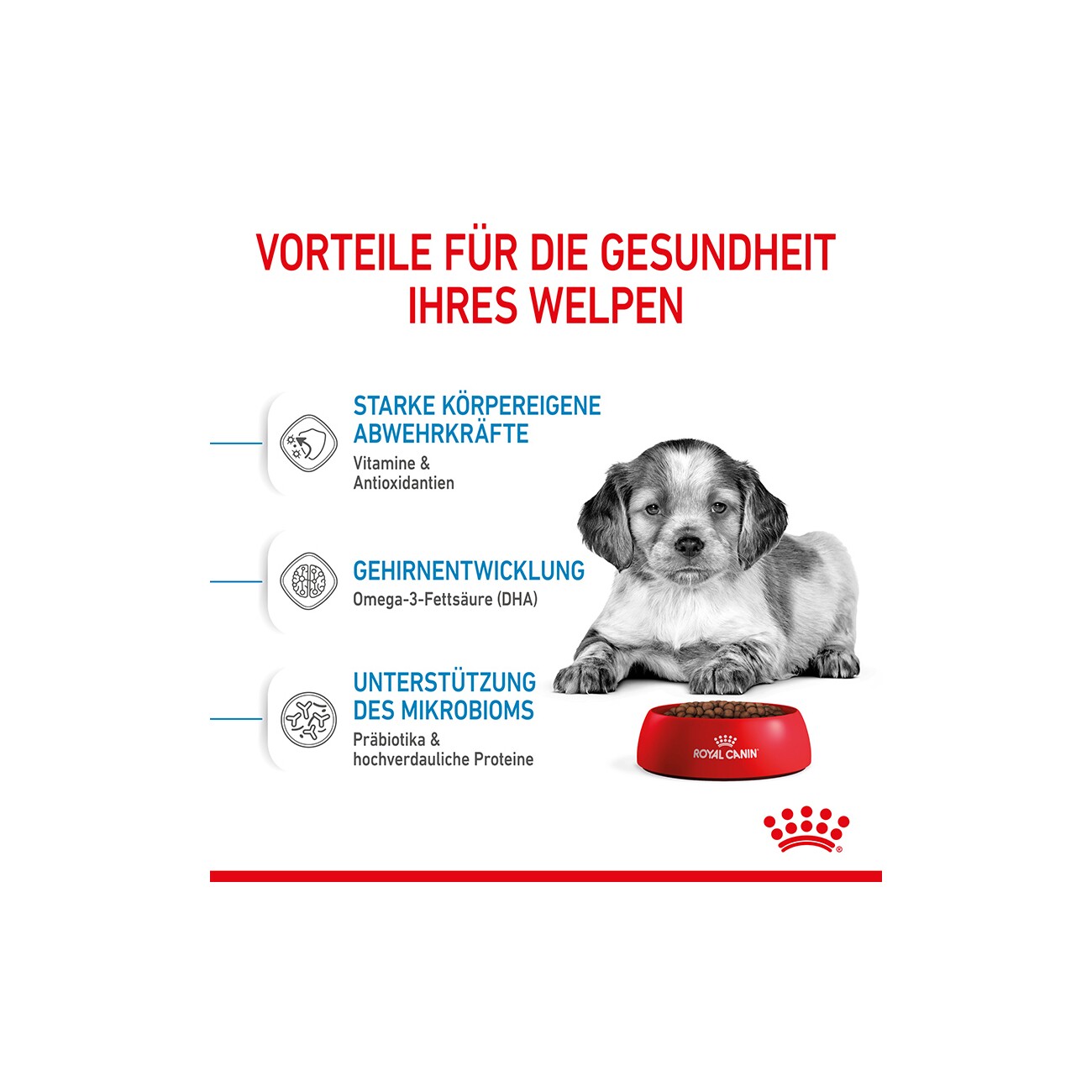 ROYAL CANIN Medium Puppy 4 kg
