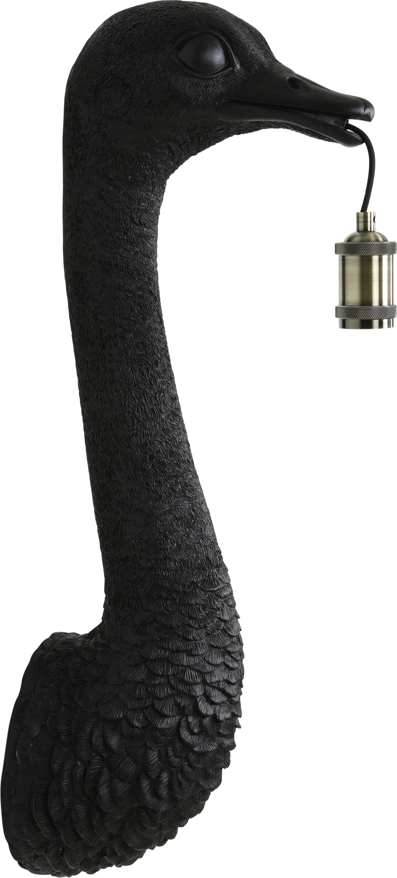 Light & Living wandlamp Ostrich zwart 25 x 19 x 72 cm