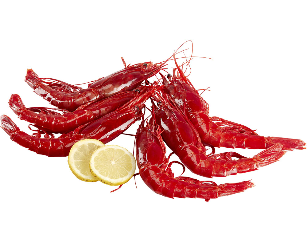 CARABINEIRO MOÇAMBIQUE 8/12 CONGELADO KG