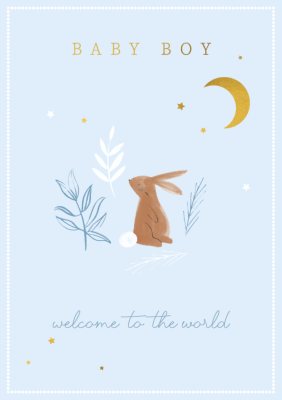 Baby Boy Rabbit