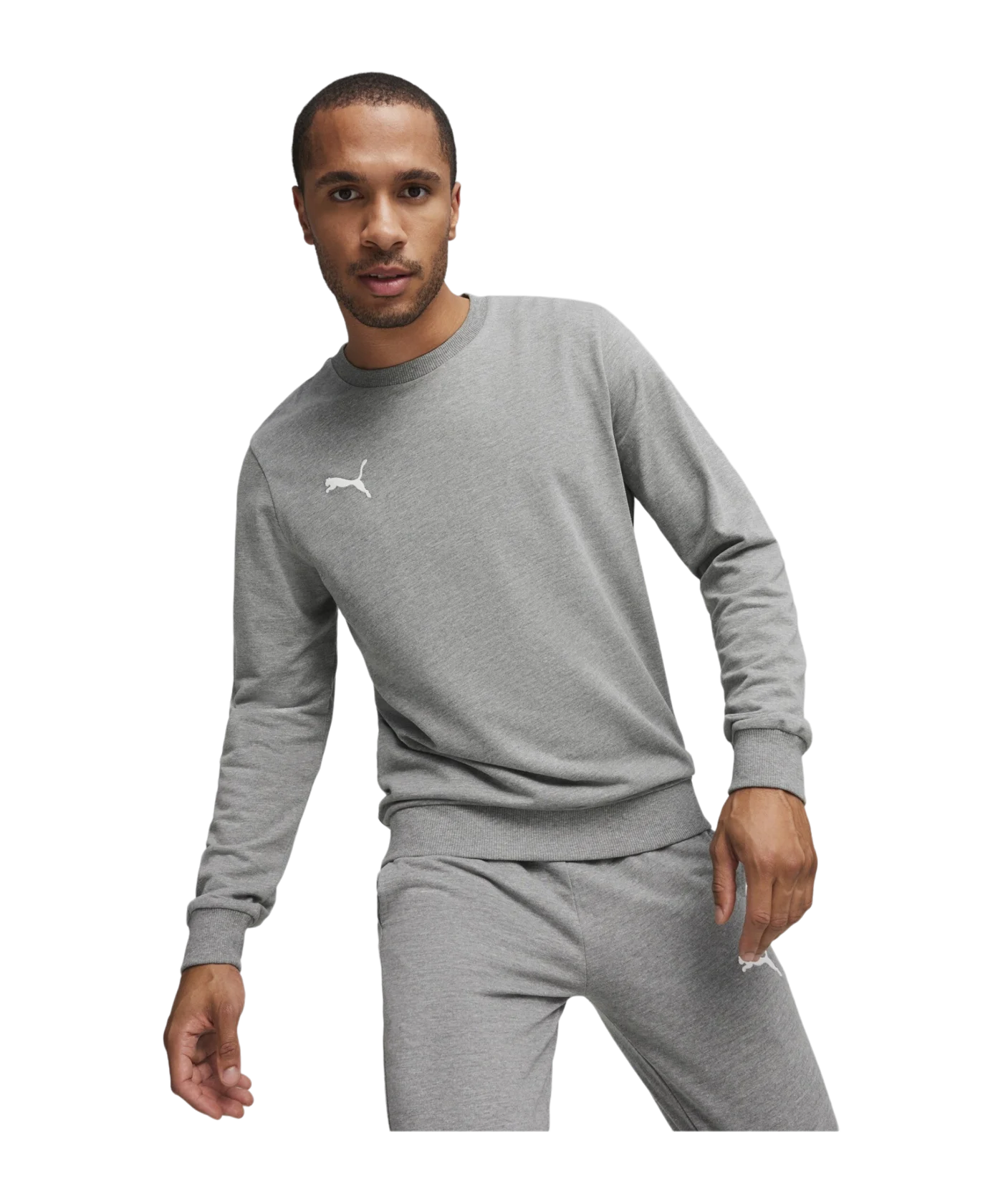 PUMA teamGOAL Casuals Sweatshirt Grau F33