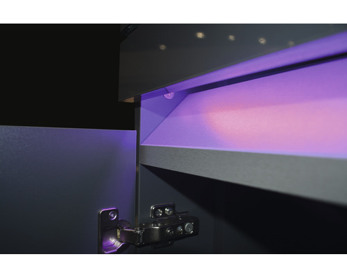 EHEIM incpiria 230 aquariumcombinatie met LED-verlichting en verlichte onderkast grafiet/eiken